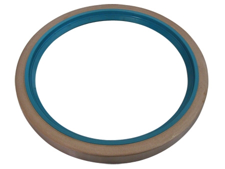 Automotive oil seal
